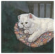 "Kitten on Chair" Digital Paper Print by Jacquie Vaux, 20"x20"