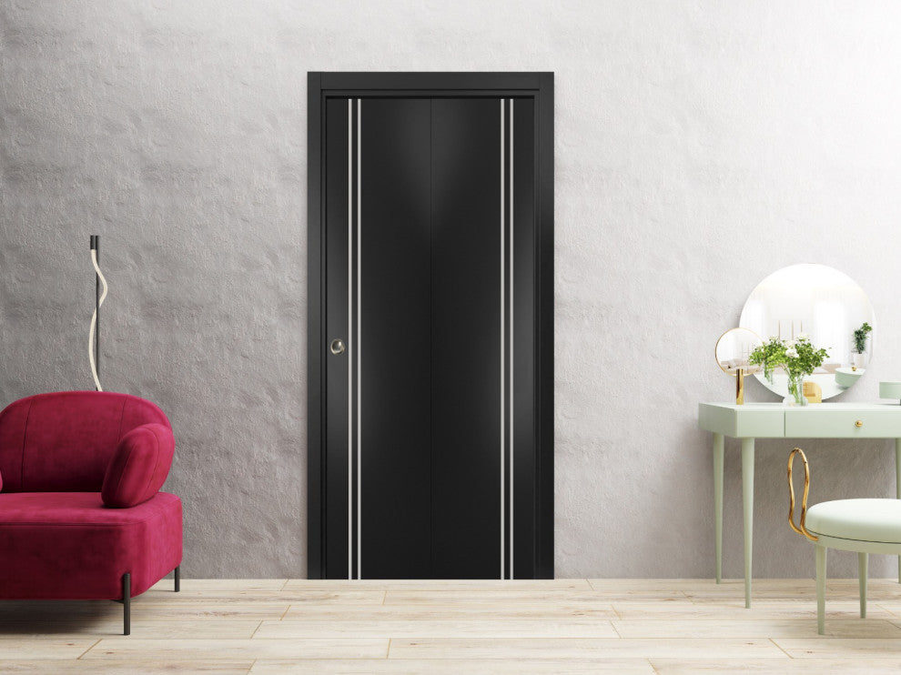 Bi-fold Doors 48 x 96 | Planum 0310 Matte Black with  | Sturdy Tracks