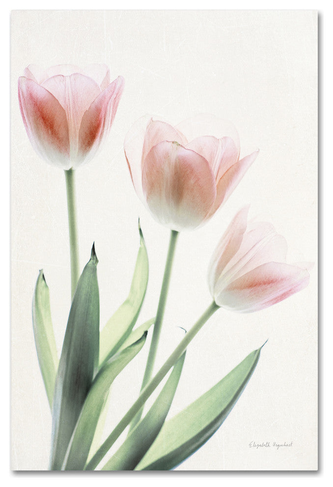 "Light and Bright Floral II" by Elizabeth Urquhart, Canvas Art, 16"x24"