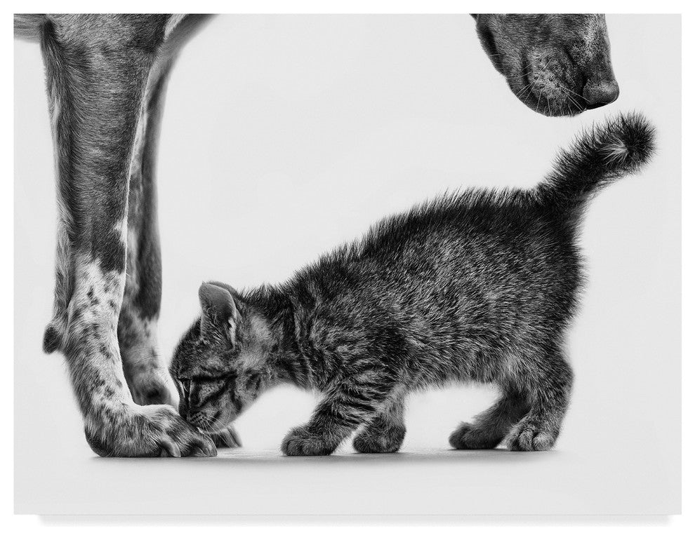 Monte Pi ''Smell Me'' Canvas Art, 32"x24"
