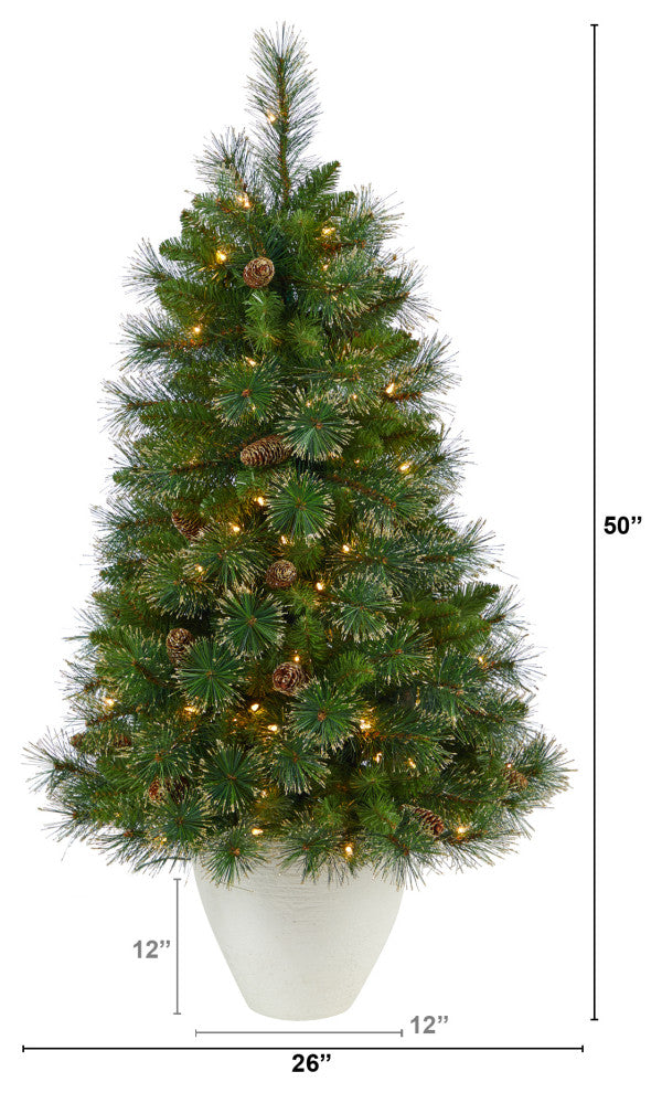 50" Golden Tip Washington Pine Christmas Tree wt 100 Clear Lights, Pine Cones