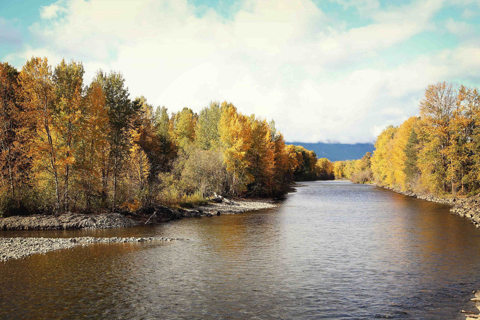 "Autumn on the River" Print on Canvas by Sylvia Cook