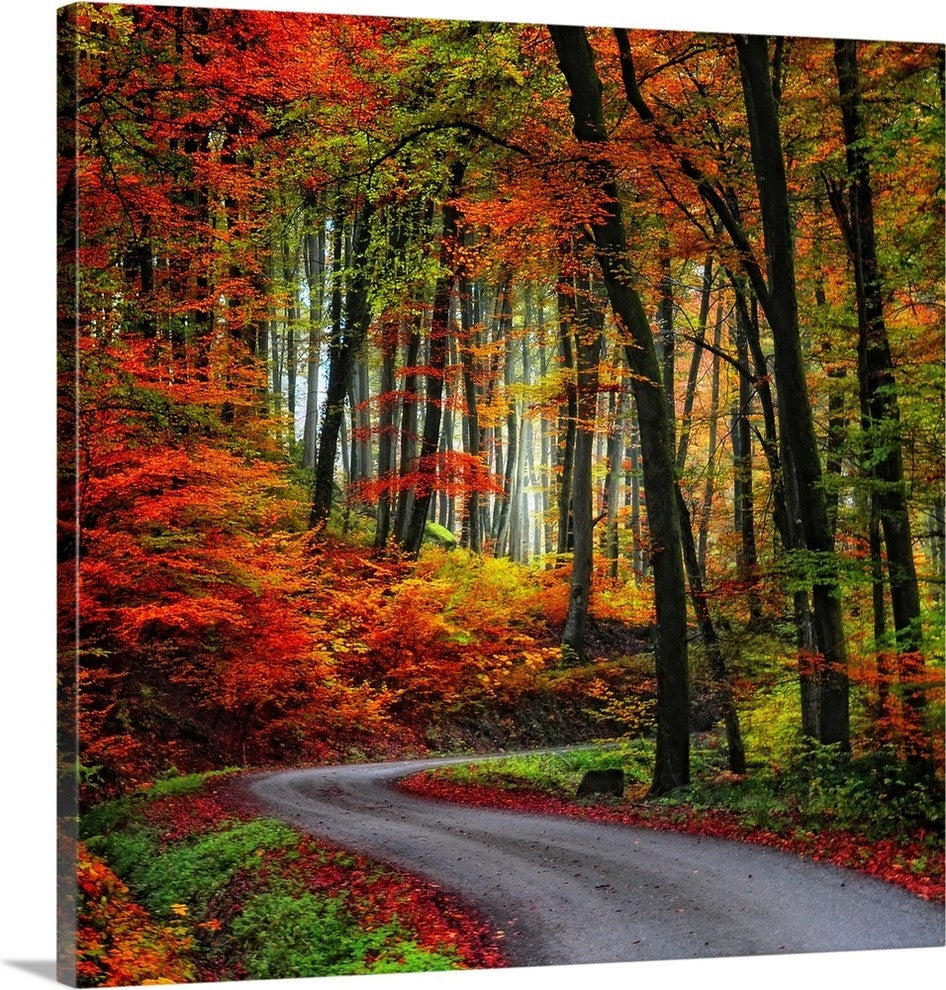 "Colorful Way" Wrapped Canvas Art Print, 35"x35"x1.5"