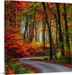 "Colorful Way" Wrapped Canvas Art Print, 35"x35"x1.5"