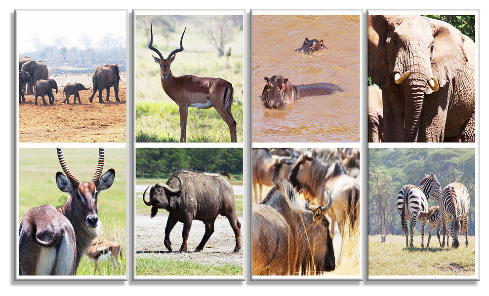 Rich African Wildlife Collage, Animal Art Painting, 48"x28", 4 Panels