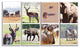 Rich African Wildlife Collage, Animal Art Painting, 48"x28", 4 Panels