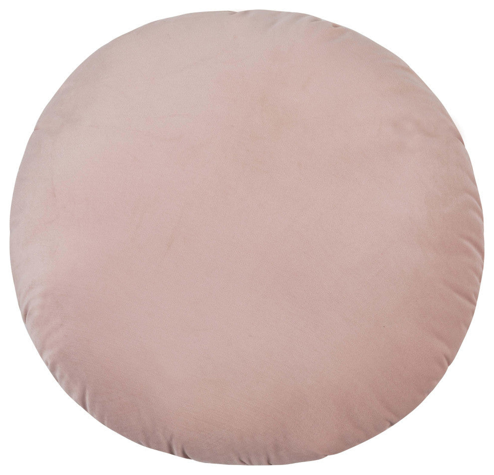 Potter 20" Blush Velvet Pillow - Blush
