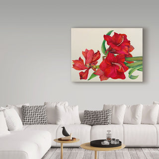 Joanne Porter 'Amaryllis Standing Tall' Canvas Art, 32"x24"