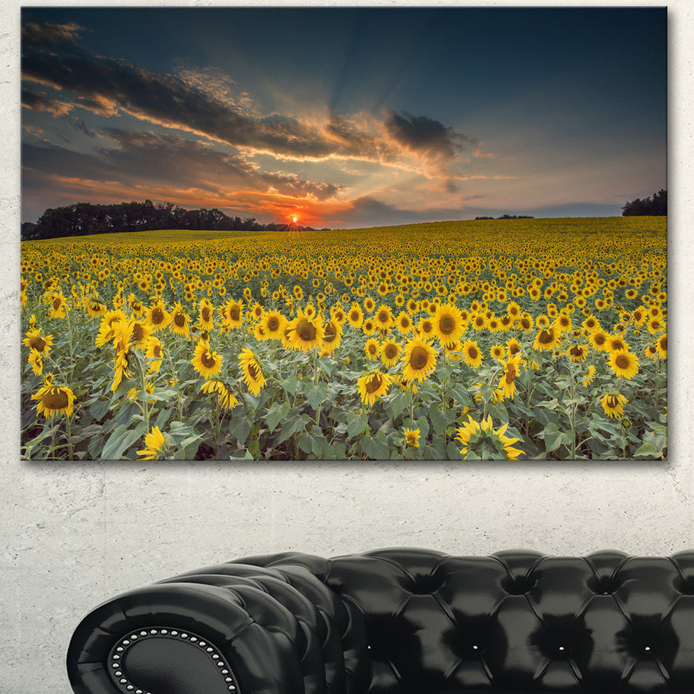 Sunflower Sunset with Cloudy Sky, Large Landscape Canvas Art, 40"x30"