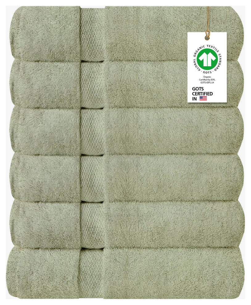 Organic Cotton Feather Touch Wash Cloth, Quick Dry, 650 GSM, Pack of 6, 13"X13", Green Tint