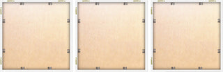Floral Bottles Triptych, Set of 3, 12x12 Panels