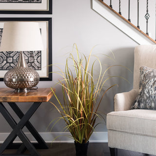 Lifestyle image showing the plant in a real room setting.