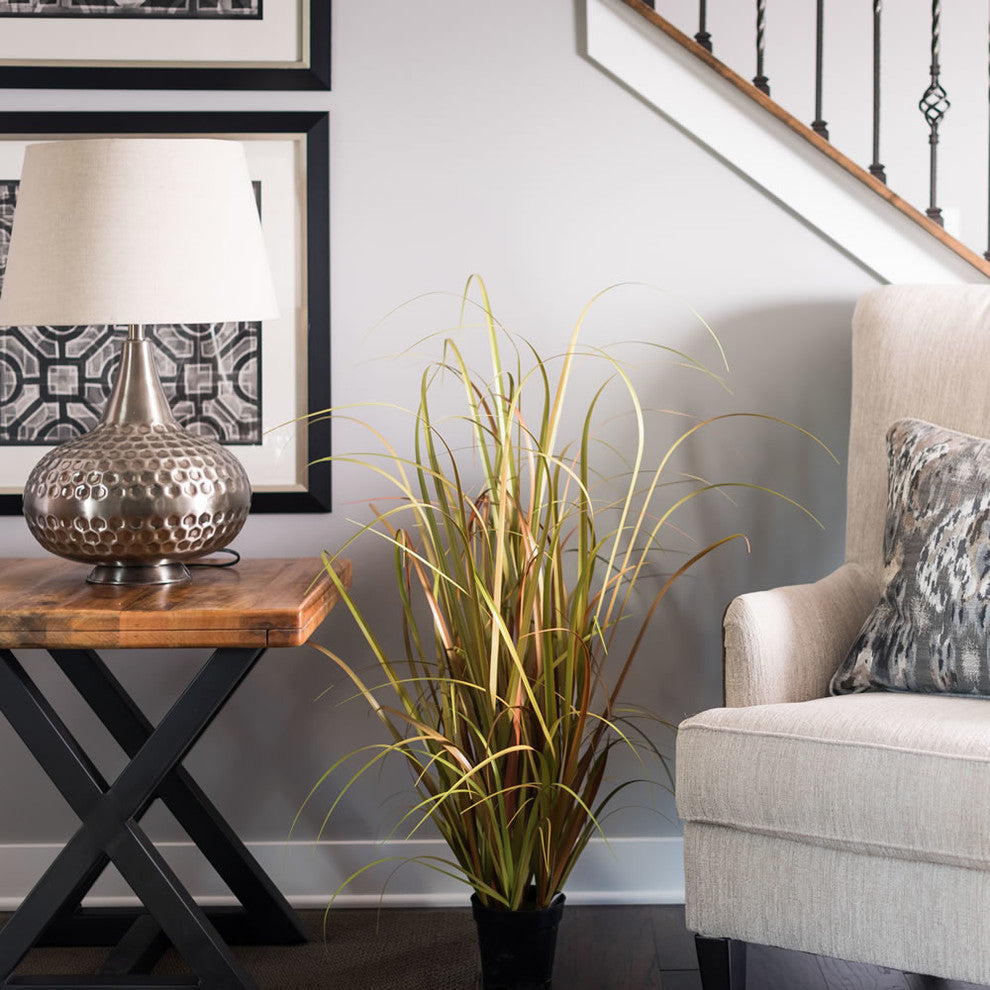 Lifestyle image showing the plant in a real room setting.