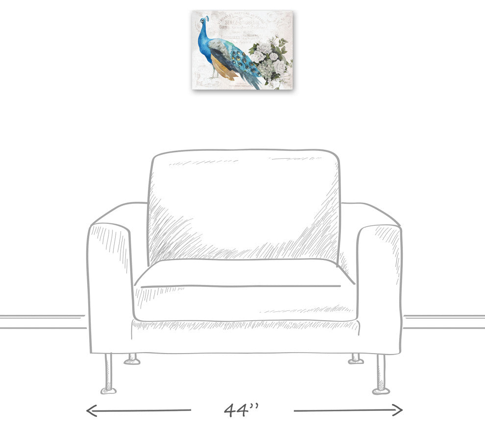 French Peacock 11x14 Canvas Wall Art