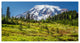 ''Mount Rainier Meadow'' Canvas Art by Pierre Leclerc
