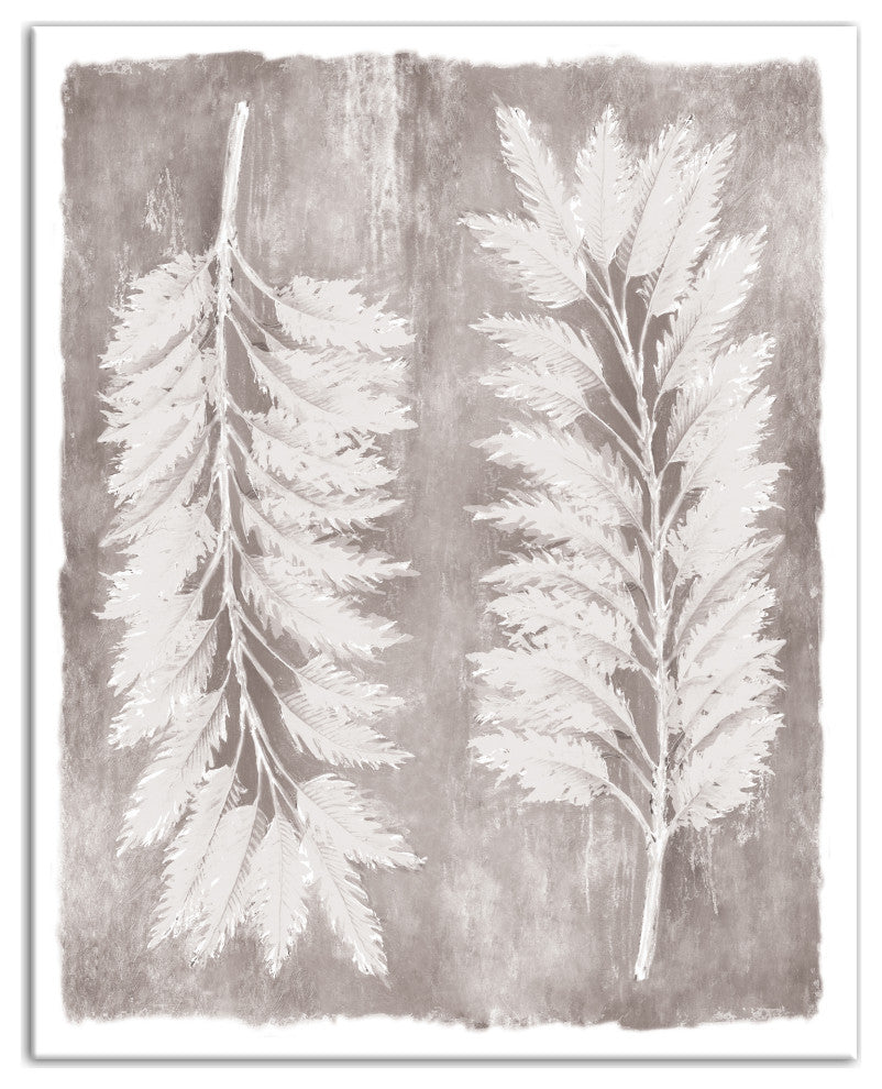 Soft Pampas Grass 24"x30" Canvas Wall Art