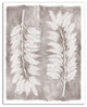 Soft Pampas Grass 24"x30" Canvas Wall Art