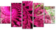 Pink Spiral Kaleidoscope, Contemporary Wall Art Canvas, 60"x32", 5 Panels