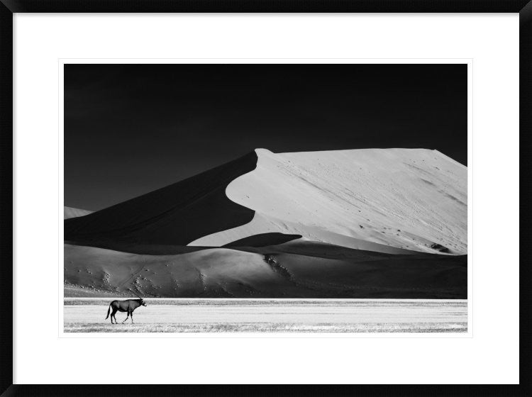 "The Solitary" Framed Digital Print by Mathilde Guillemot, 32x24"