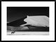 "The Solitary" Framed Digital Print by Mathilde Guillemot, 32x24"