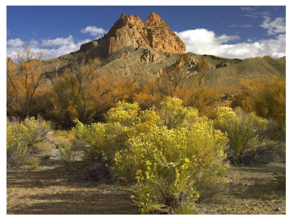 "Mitten Rock, New Mexico" Digital Paper Print by Tim Fitzharris, 26"x20"