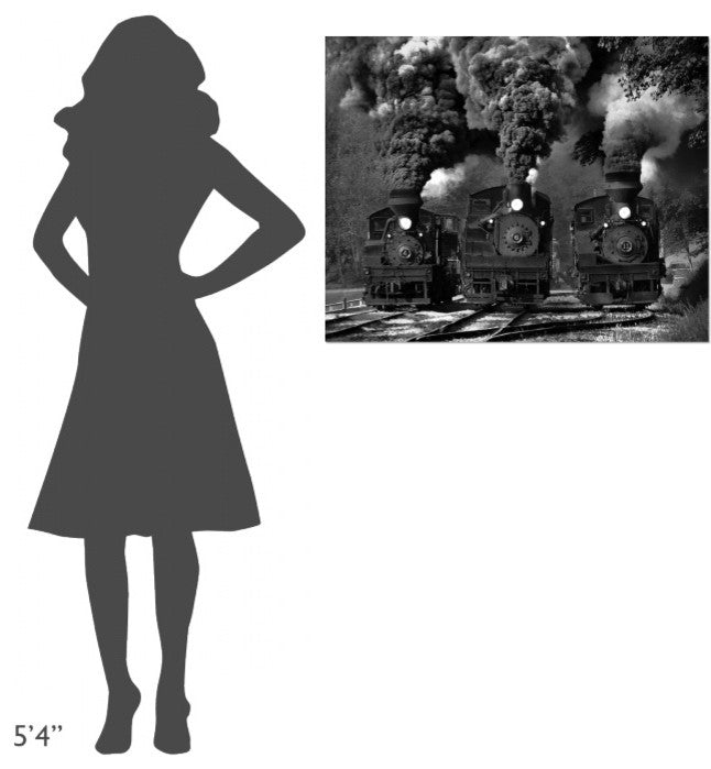 "Train Race In Bw" Stretched Canvas Giclee by Chuck Gordon, 35x28"