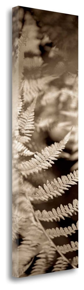 "Florison - 80" By Alan Blaustein, Giclee Print on Gallery Wrap Canvas