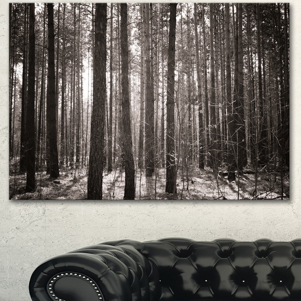 Beautiful Misty Forest in the Autumn, Forest Canvas Art Print, 40"x30"