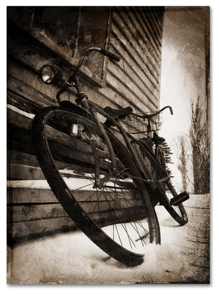 Tina Lavoie 'Souvenir' Canvas Art, 35" x 47"