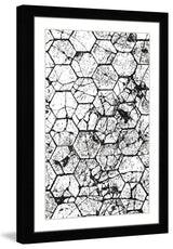 "Honeycombs" Framed Art Print