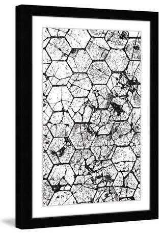 "Honeycombs" Framed Art Print