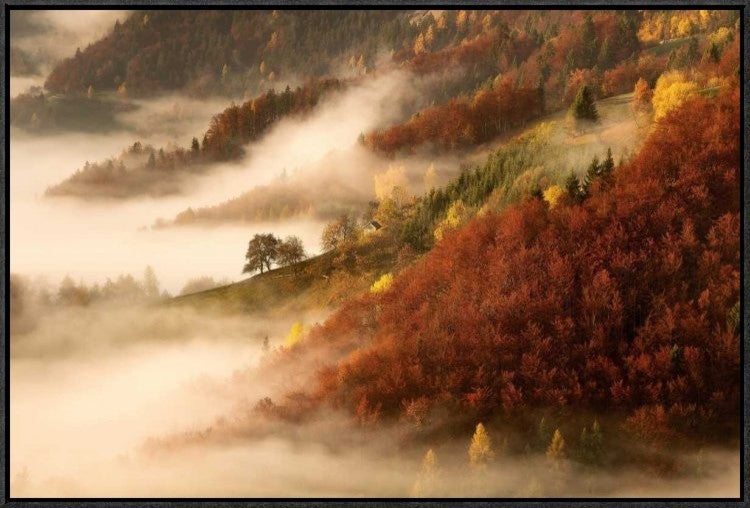 "Novembers Fog" Framed Canvas Giclee by Bor, 31x21"