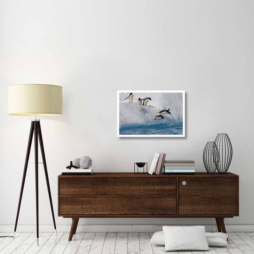 "Adelie Penguins jumping/diving off iceberg, Paulet Island" Paper Art, 32"x22"