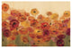 "Summer Poppies" Digital Paper Print by Silvia Vassileva, 20"x14"