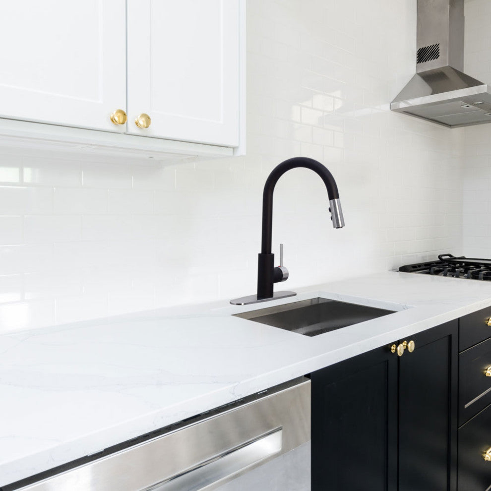 Kitchen Faucet Pull Down Dual Spray Hand Shower, Black/SS
