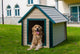 ECOFLEX Bunk Style Dog House, Large