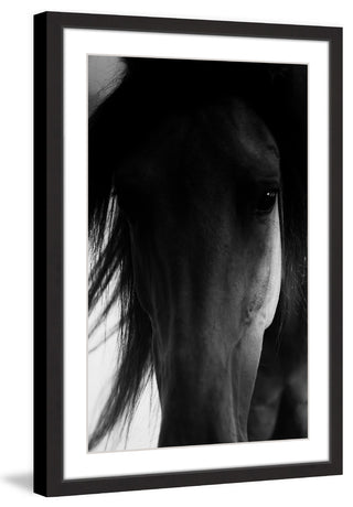 "Shadow Horse" Framed Painting Print, 16x24