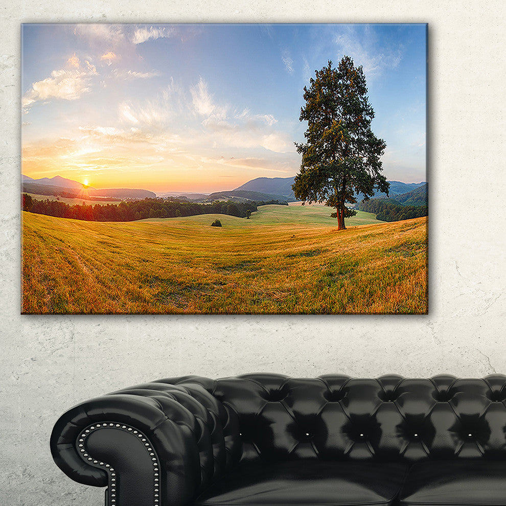 "Lonely Tree on Meadow at Sunset" Landscape Photo Wall Art, 40"x30"