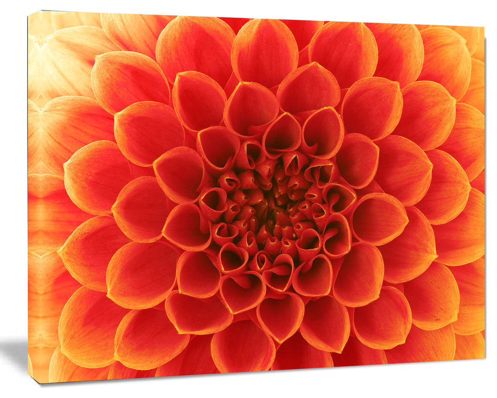 Orange Abstract Flower Petals, Floral Canvas Art Print, 40"x30"