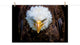 Bald Eagle Portrait Close-up Loose Wall Art Print, 12" X 18"