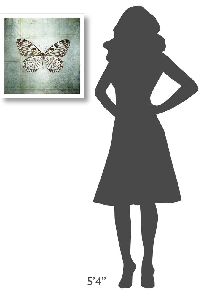 "French Butterfly V" Digital Paper Print by Debra Van Swearingen, 20"x20"