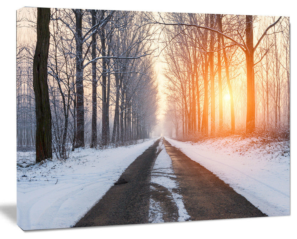 Bright Sun Break in Winter Forest, Large Forest Canvas Art Print, 40"x30"