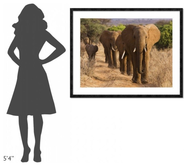 "Herd of African Elephants, Kenya" Framed Digital Print by Anonymous, 48x38"