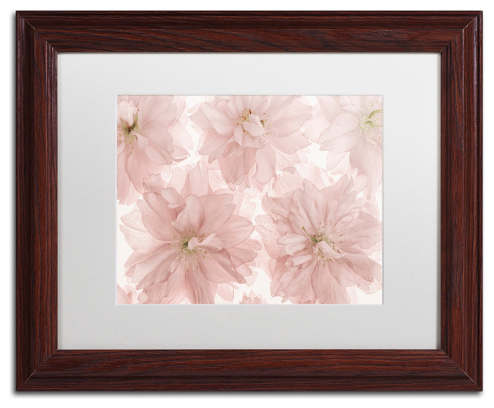 Cora Niele 'Prunus Blossom' Matted Framed Art