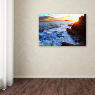 Jason Shaffer 'Hawaii 4' Canvas Art, 24x16