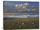 "Beach And Waves, Corcovado National Park, Costa Rica" Artwork, 35" x 28"