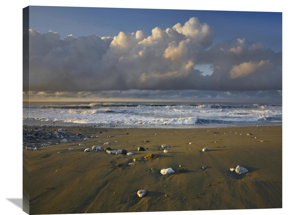 "Beach And Waves, Corcovado National Park, Costa Rica" Artwork, 35" x 28"