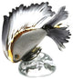 Murano Glass Tropical Fish, Amber Black
