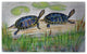 Betsy Drake Two Turtles Door Mat 30x50