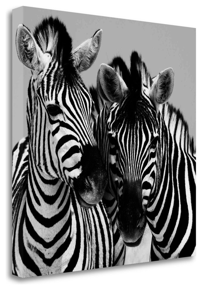 "Namibia Zebras" By Nina Papiorek, Giclee Print on Gallery Wrap Canvas